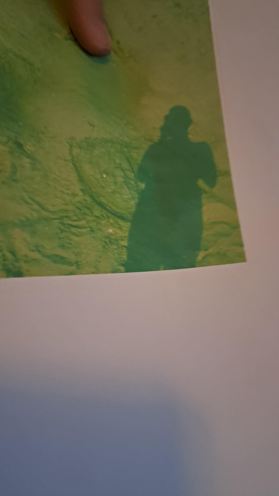 Ottima qualità di stampa