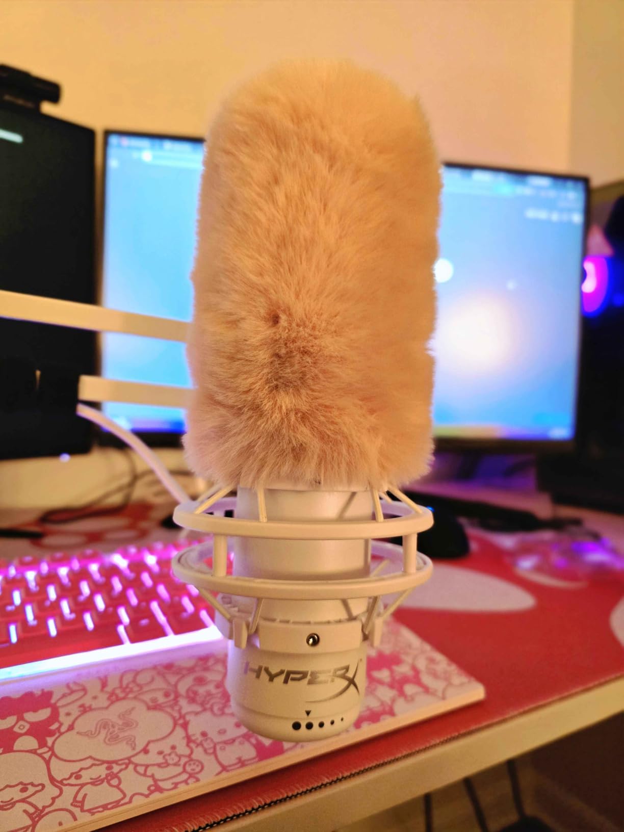 Regalo per mio figlio streamer