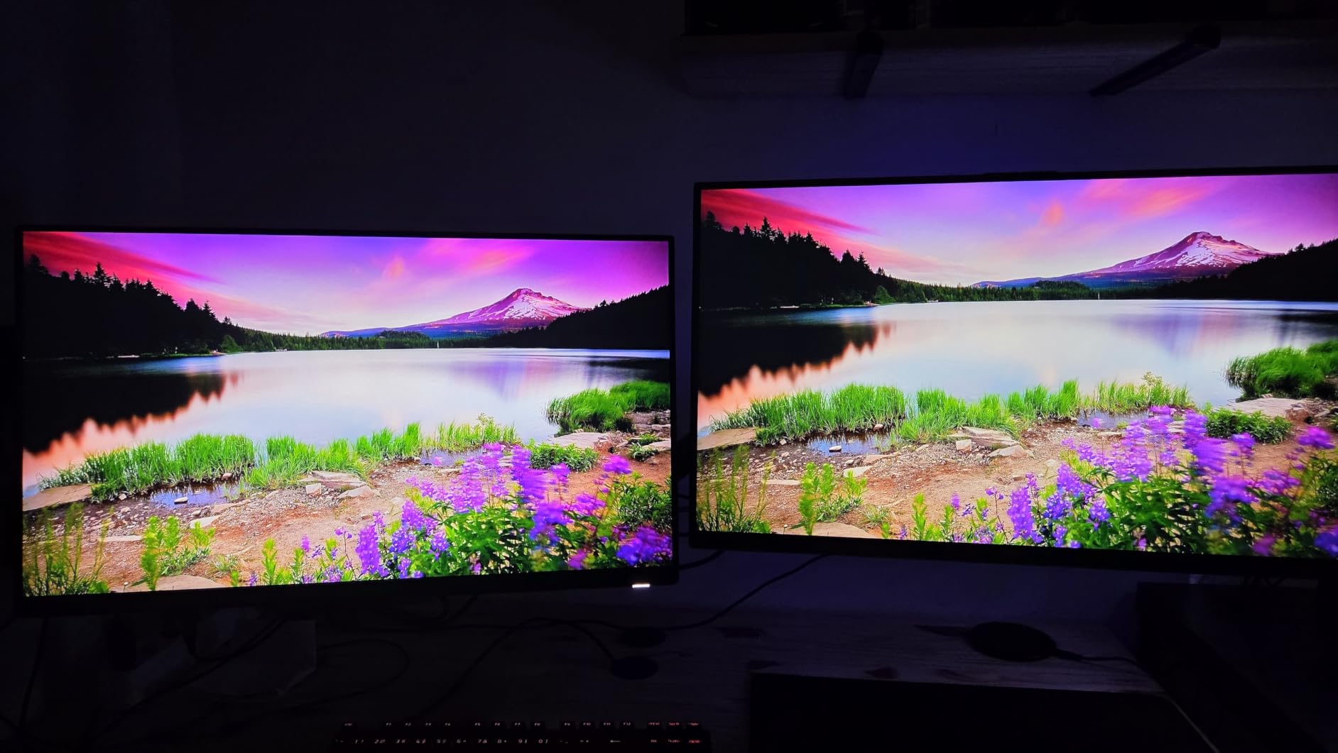 Monitor da esports vero
