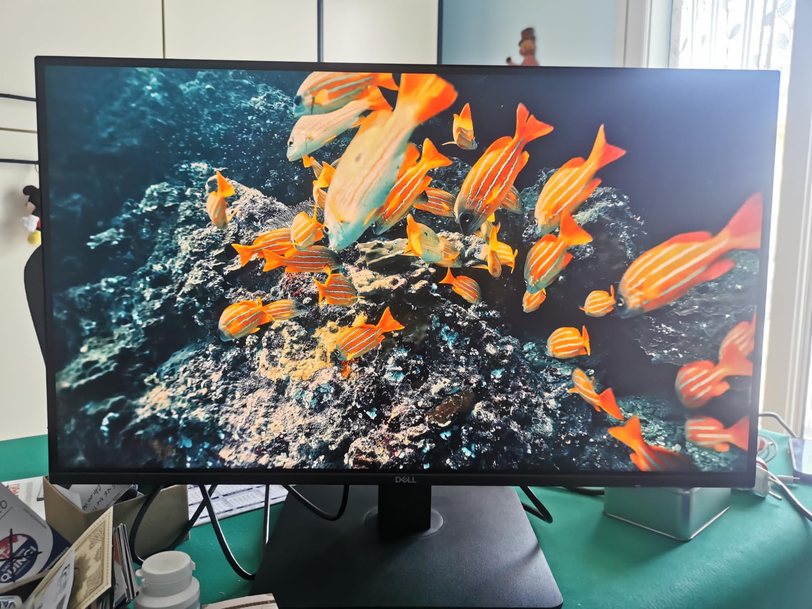 Ottimo monitor per lavoro e gioco